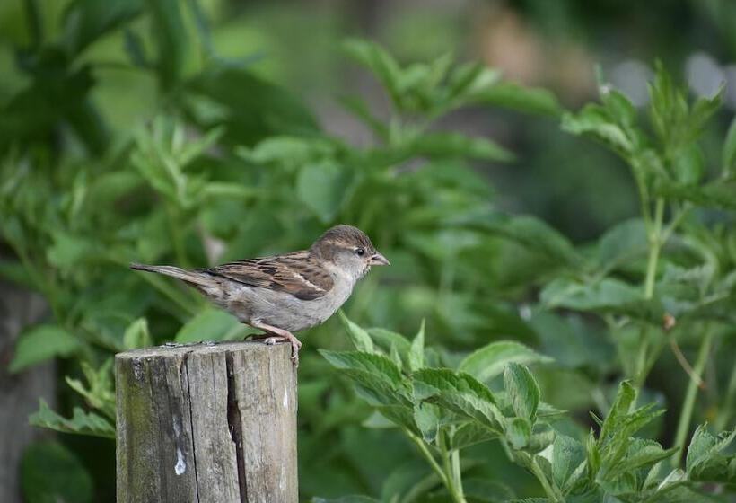 Mongolian Yurts Fordhall Organic Farm