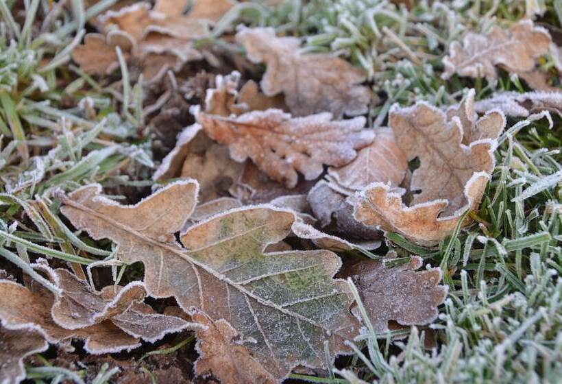 Mongolian Yurts Fordhall Organic Farm