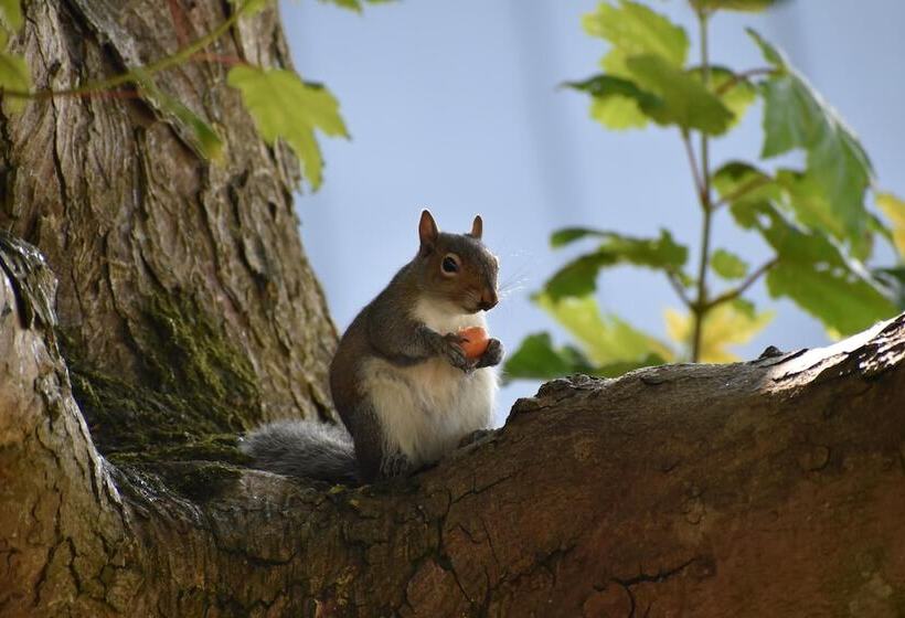 Mongolian Yurts Fordhall Organic Farm