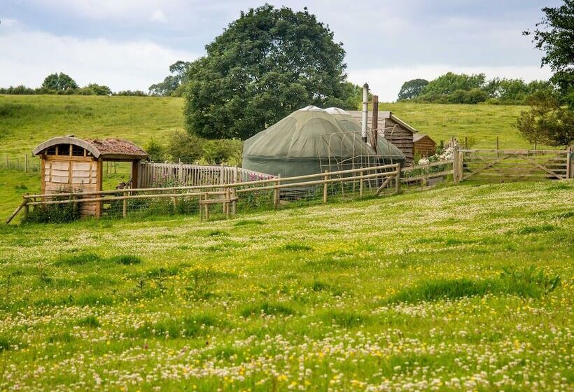 Mongolian Yurts Fordhall Organic Farm