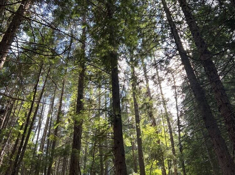 North Haven Campground