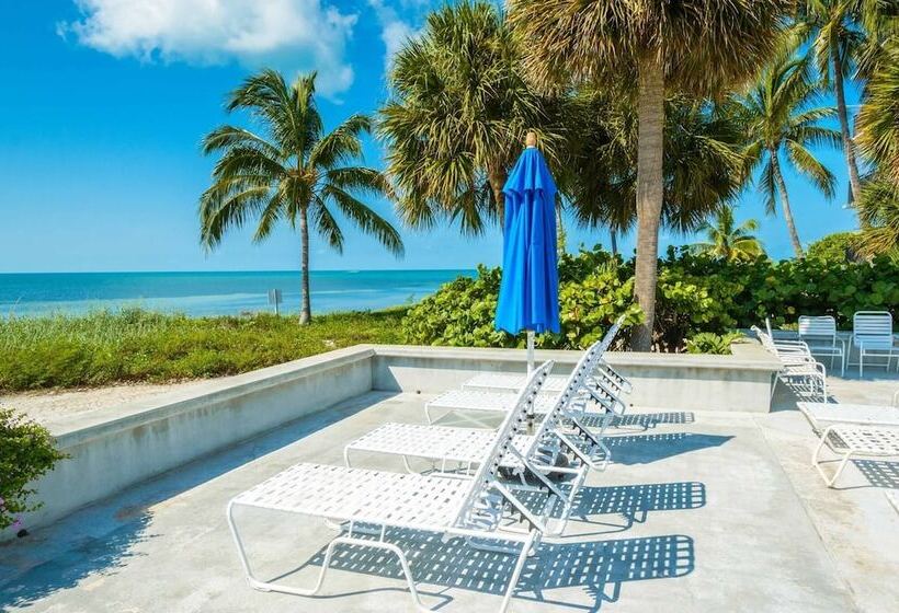 Papaya Place By Avantstay Great Location W/ Balcony, Outdoor Dining, Shared Pool & Hot Tub!