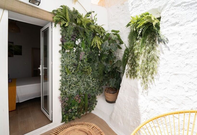 بنسيون Casa Alegría