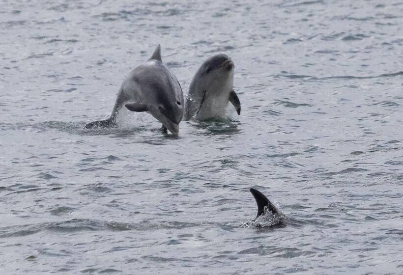 레지던스 Comfy House By The Beach, Northumberland Coast