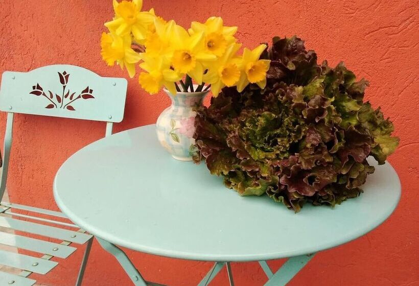 דירת נופש Cosy Apt Close To Sacra Di San Michele And Lakes