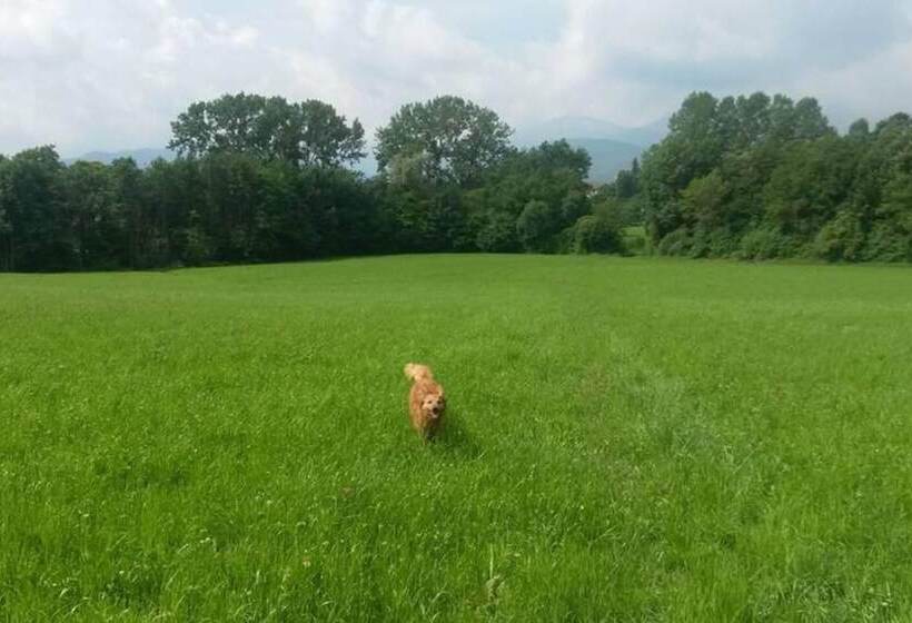 דירת נופש Cosy Apt Close To Sacra Di San Michele And Lakes