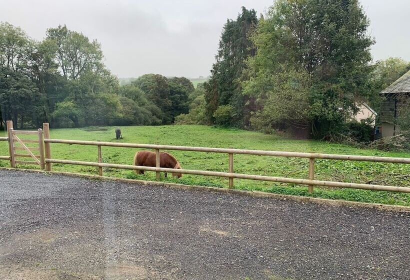 レジデンス Impeccable 3 Bed Bungalow Near Launceston