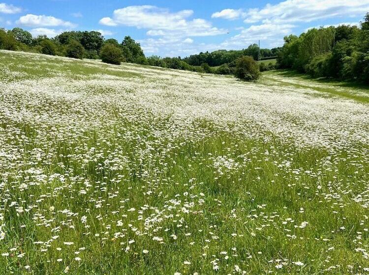 レジデンス Luxury Chilterns Hideaway, Easy Access To London