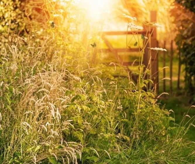 إقامة Perfect To Spend Time With Family And Friends