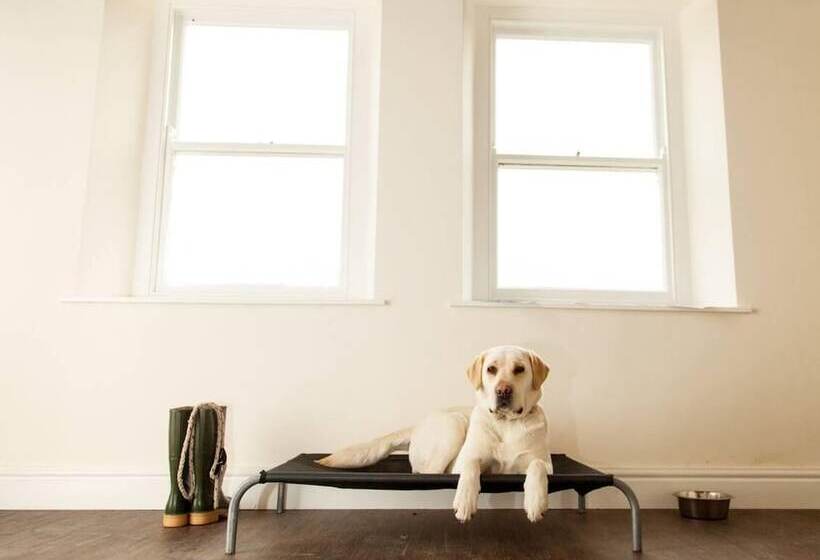 레지던스 Stunning 8 Beds Country Retreat Nr Richmond