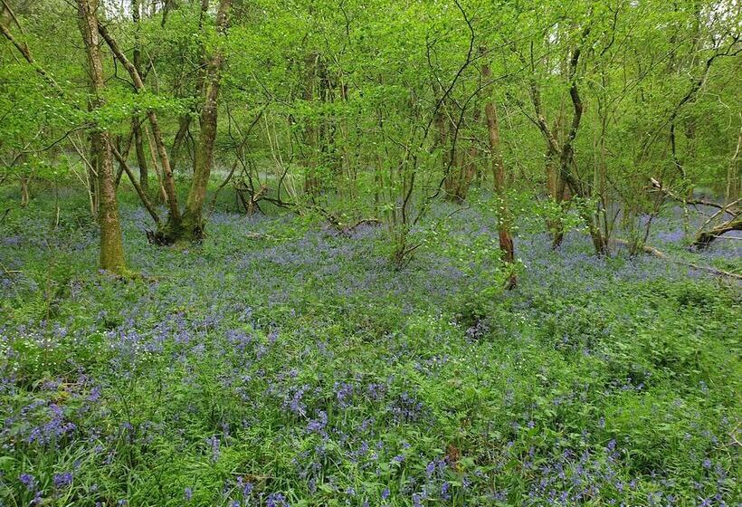 住所  Historic 2bed   Traditional Countryside Retreat