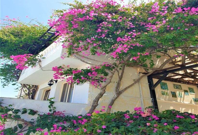 إقامة Sunset Paradise Villa In Hersonisos
