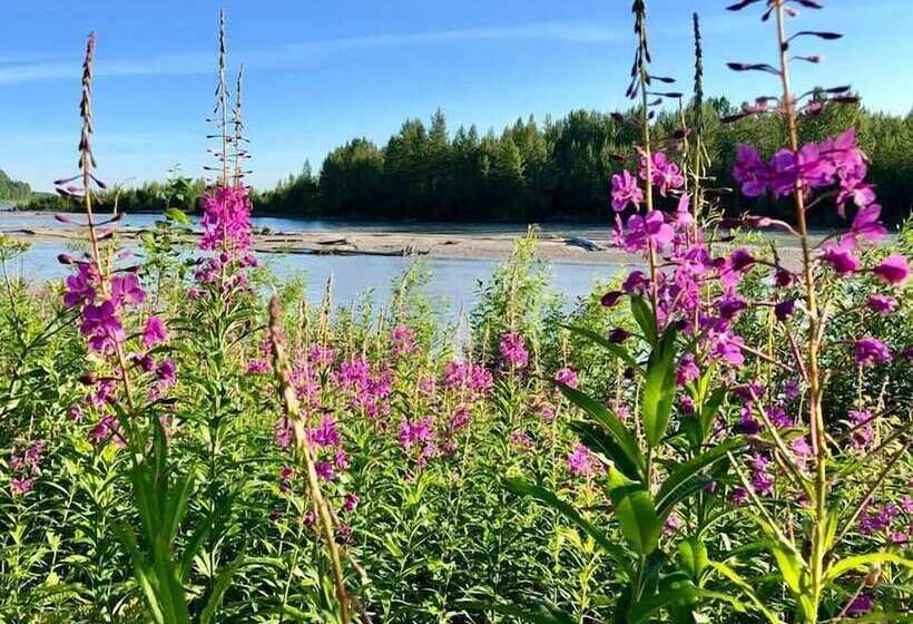 Riverside Cabins