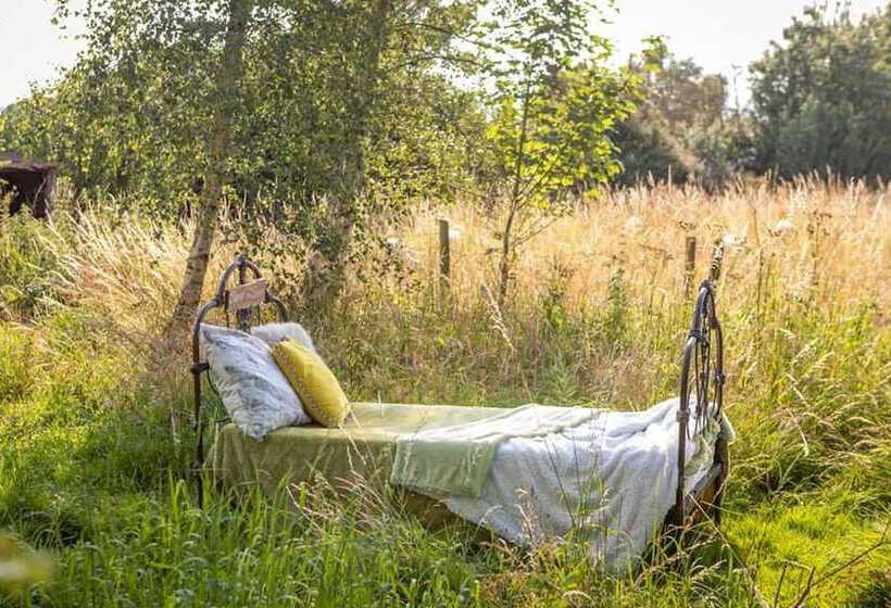 Orion 4 Person Stunning Lotus Belle Tent