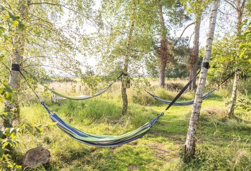 Orion 4 Person Stunning Lotus Belle Tent