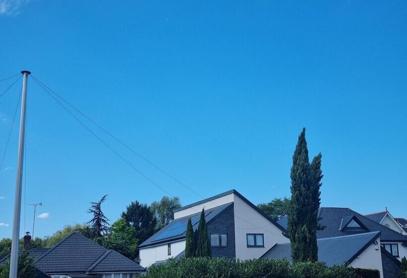 The Birchwood Pad By Kasar Stays