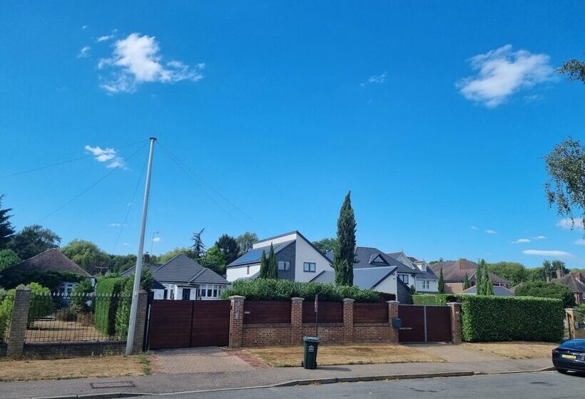 The Birchwood Pad By Kasar Stays