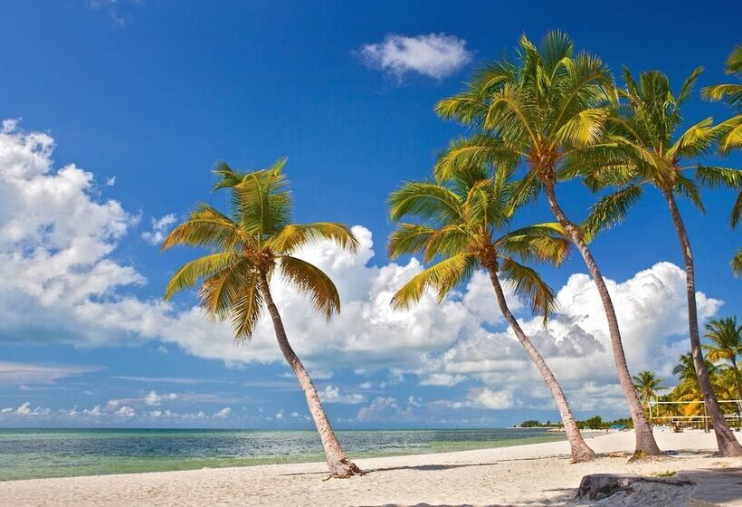Tropical Dreaming By Avantstay 4 Blks To Beach! Private Pool!