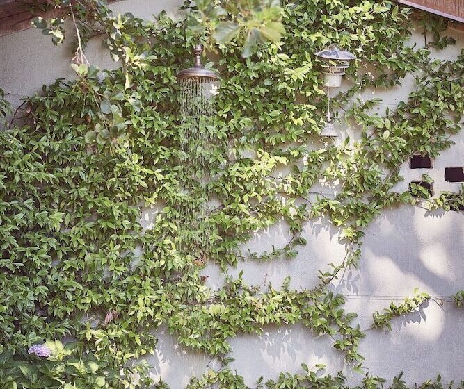 Aqvae Unconventional Country House