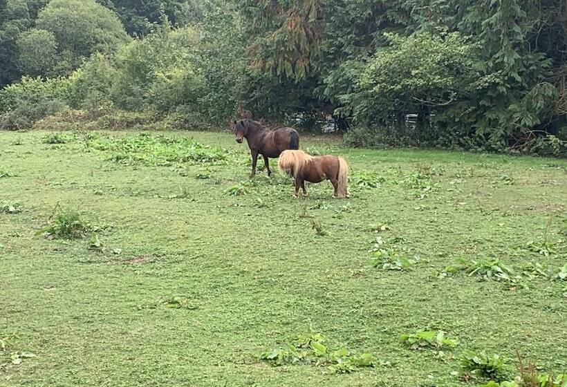 Beautiful 1 Bed Studio In Boyton Launceston