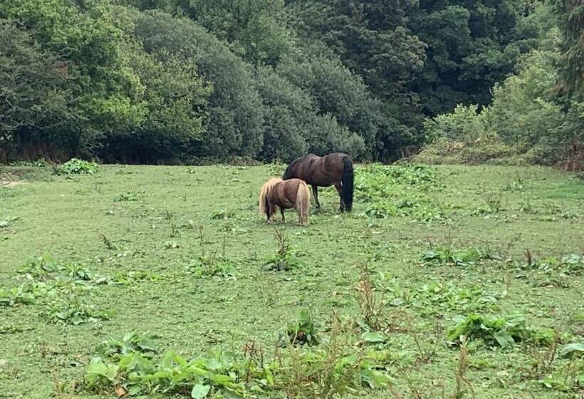 Beautiful 1 Bed Studio In Boyton Launceston