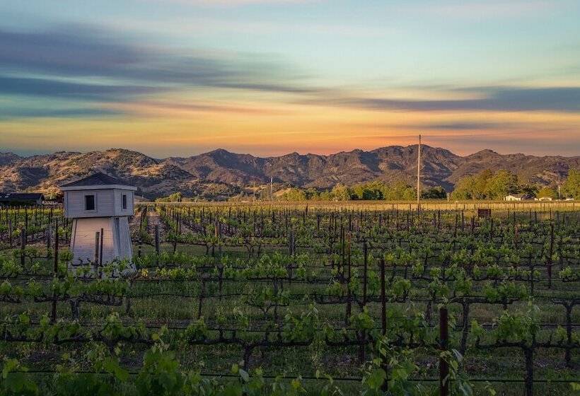 مبيت وإفطار Chateau De Vie