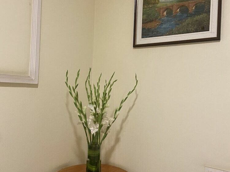 ベッドアンドブレックファースト Polonest Cocoon By Morpho