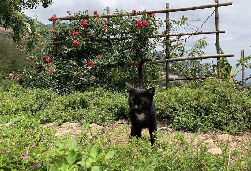 تختخواب و صبحانه Sapa Rosie House Mountain Retreat