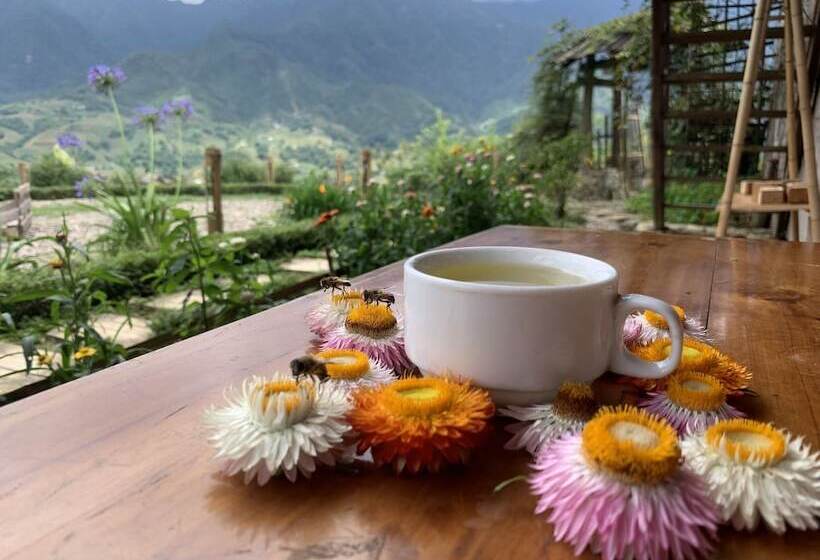 تختخواب و صبحانه Sapa Rosie House Mountain Retreat