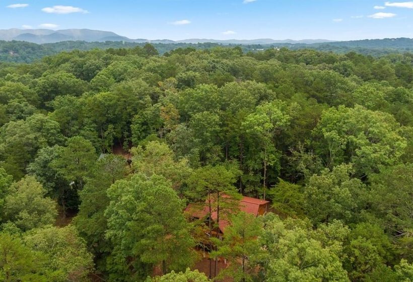 Buck S Bear Lodge Beautiful Coosawattee Resort