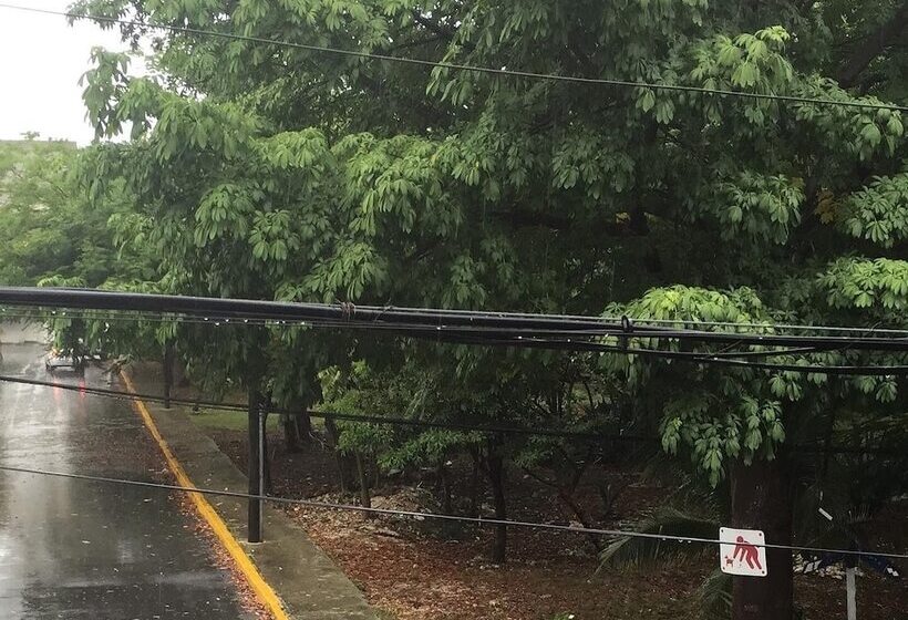 ユースホステル Cancún Plaza Hotel & Hostal