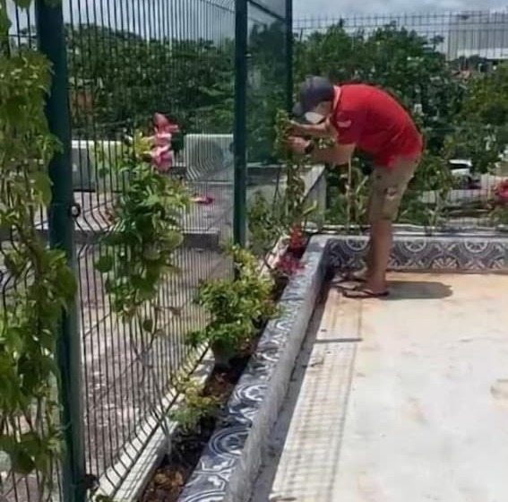 ユースホステル Cancún Plaza Hotel & Hostal