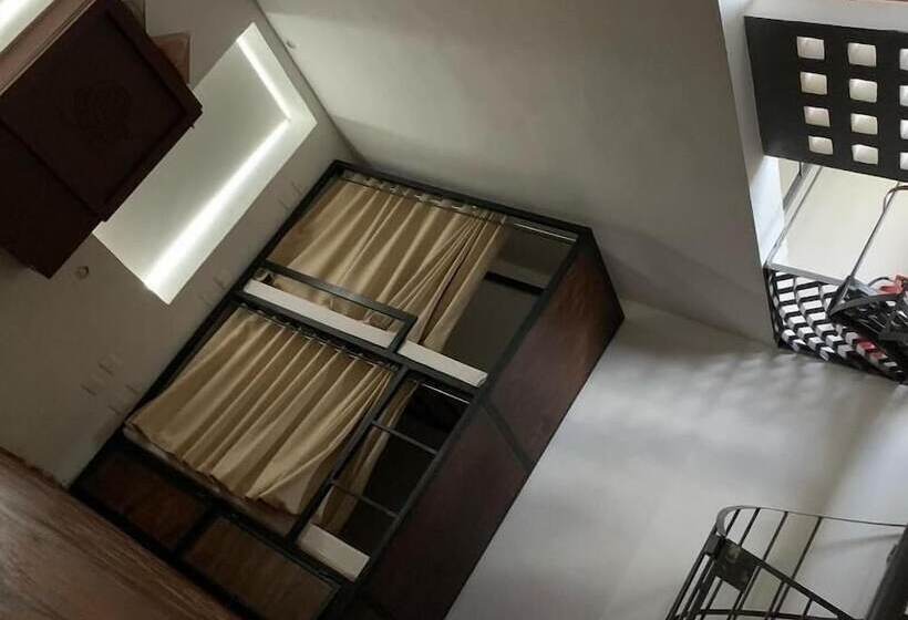 ユースホステル Cancún Plaza Hotel & Hostal