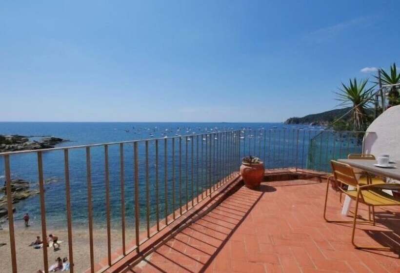 Casa Concha Apartamentos