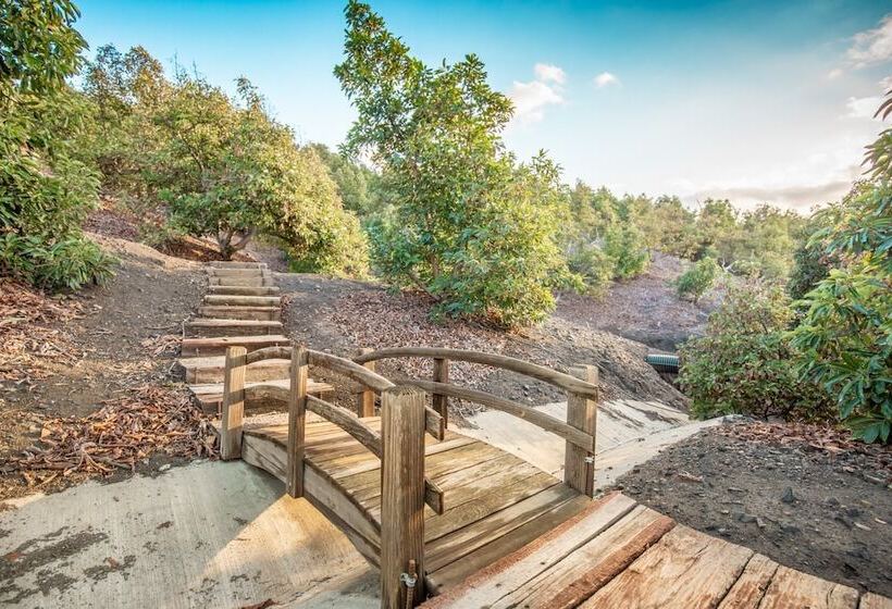 Casa Del Arbol By Avantstay Stunning California Estate With Incredible Views