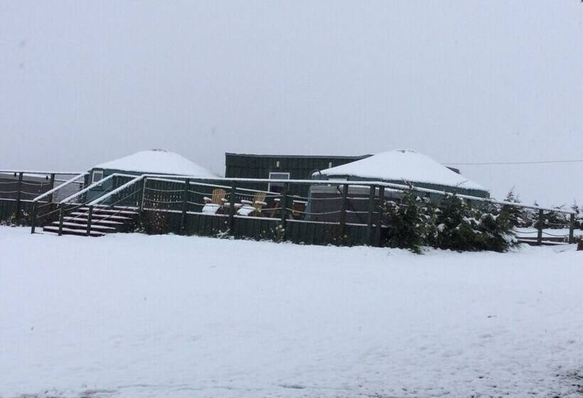 Green Yurt With Hot Tub   Sleeps 3, Parking & Wifi