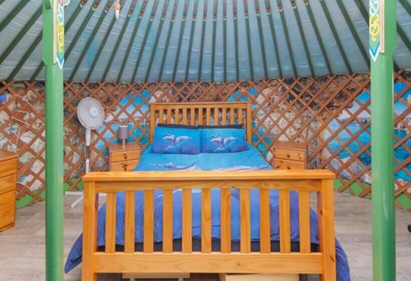 Green Yurt With Hot Tub   Sleeps 3, Parking & Wifi