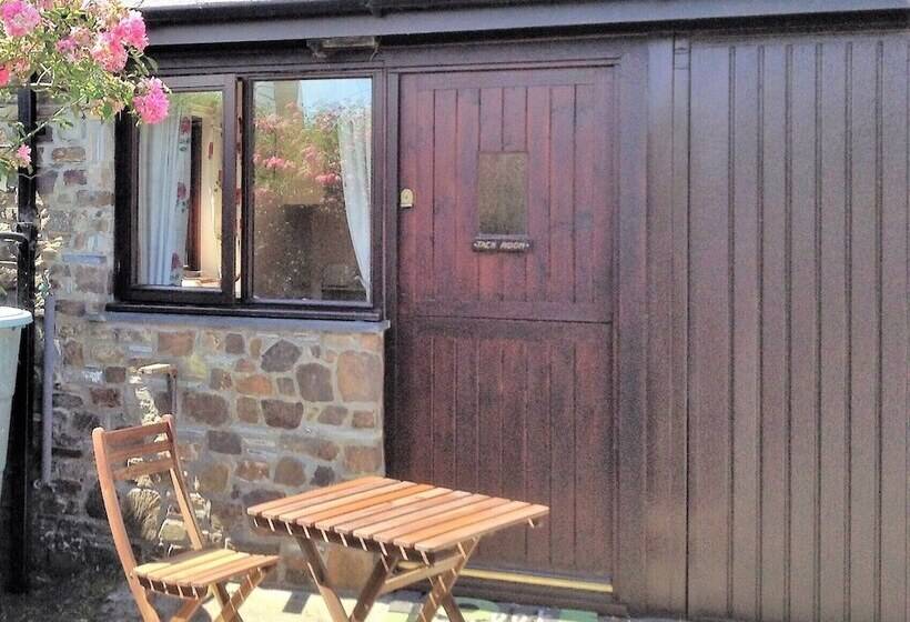 The Tack Room   A Comfy Cabin In North Devon