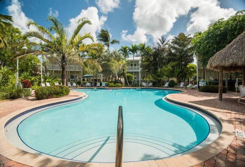 Coral Garden By Avantstay Great Location W/ Balcony & Shared Pool