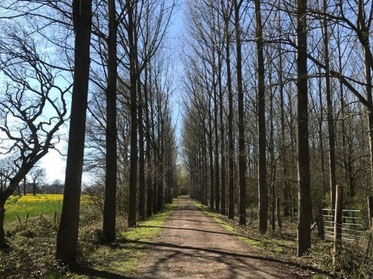 Delightful 4bd Home Full Of Flair Edenbridge Kent