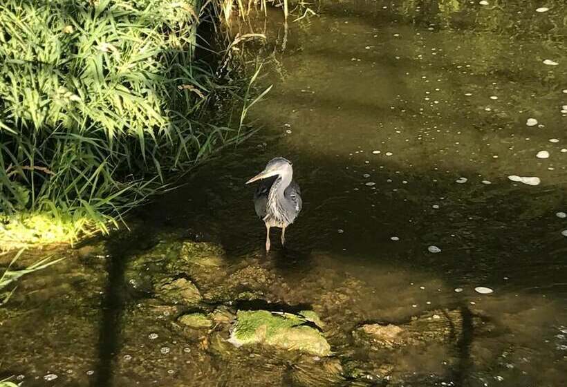 Delightful 4bd Home Full Of Flair Edenbridge Kent