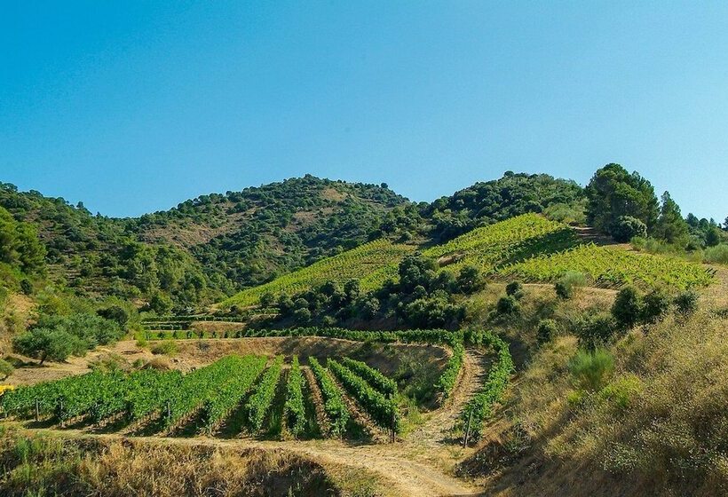 Gran Hotel Mas D En Bruno