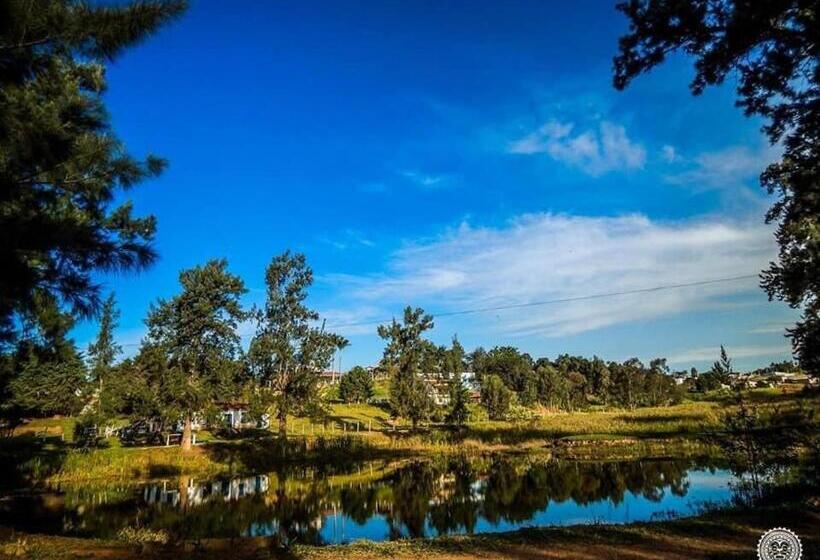 Хостел Pousada Rafaela