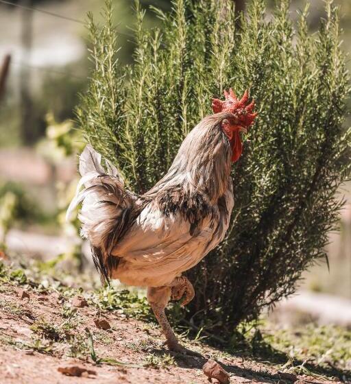 Eco Hotel Cueva Del Gato