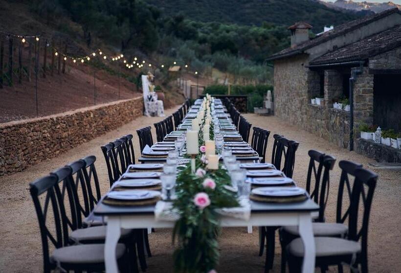 Eco Hotel Cueva Del Gato