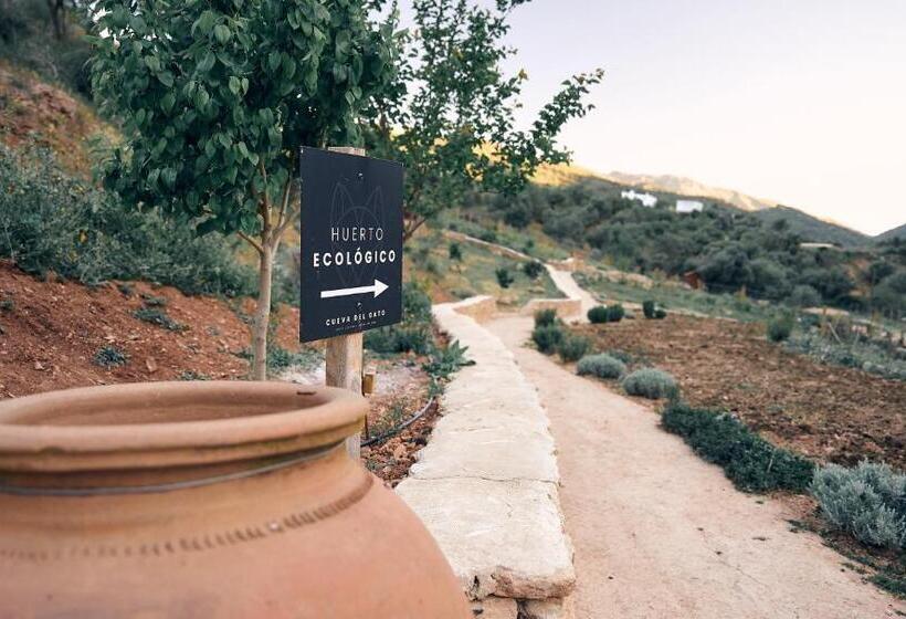 Eco Hotel Cueva Del Gato