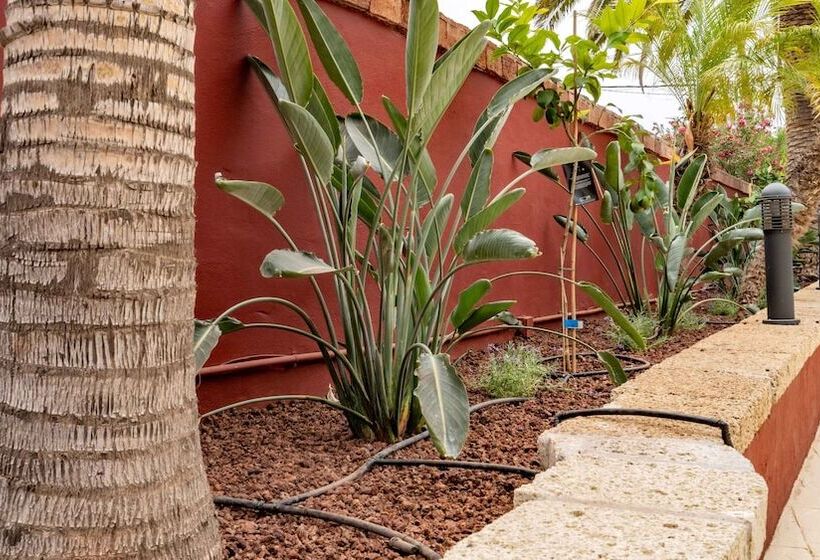 هتل Ecolife Tenerife