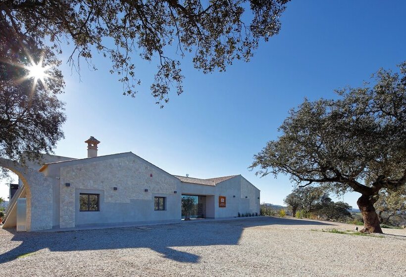 هتل Es Desconecta2