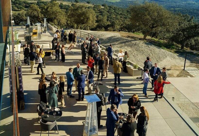 هتل Es Desconecta2