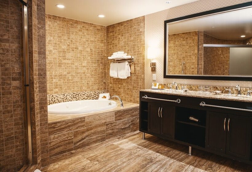 هتل Four Winds Casino South Bend